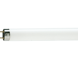 Philips 928024003331 Fluorescent Tube 10W 33-640 4100K 343mm T8 TL-D