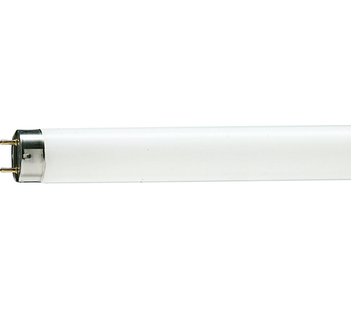 Philips 928024003331 Fluorescent Tube 10W 33-640 4100K 343mm T8 TL-D