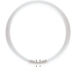 Philips 927965084013 Fluorescent Tube Circular 22W 840 4000K Master TL5 High Efficiency