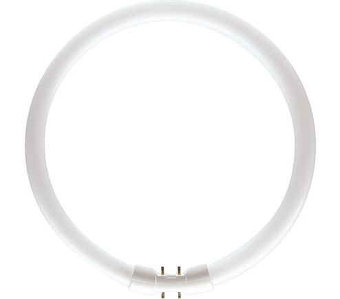 Philips 927965084013 Fluorescent Tube Circular 22W 840 4000K Master TL5 High Efficiency