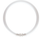 Philips 927965084013 Fluorescent Tube Circular 22W 840 4000K Master TL5 High Efficiency