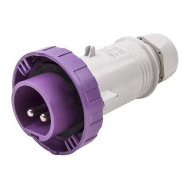 SCAME PLUG 16A 2P 24V IP67 Firstflex