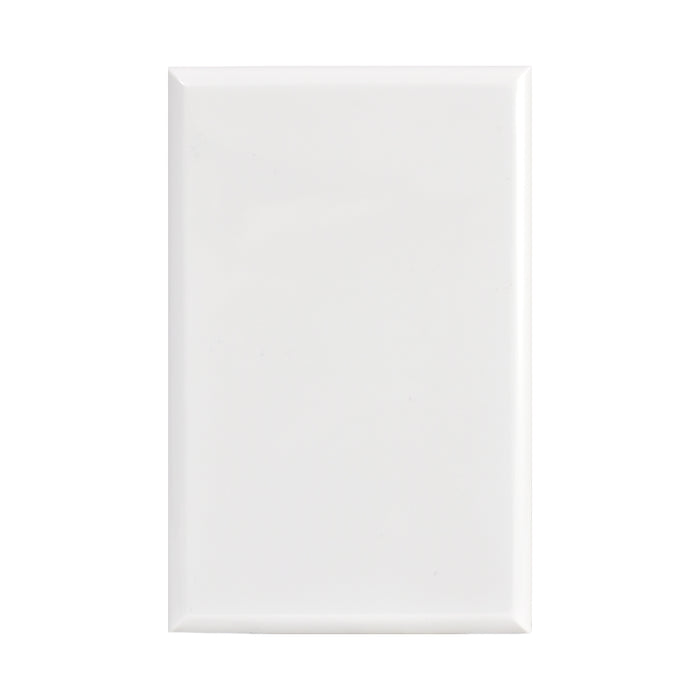 Vynco Home Switch blank plate