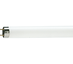 Philips 928044795081 Fluorescent Tube 36W 950 5000K Master TL-D Graphica Pro