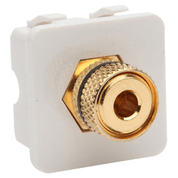 Pdl Plug banana binery post White