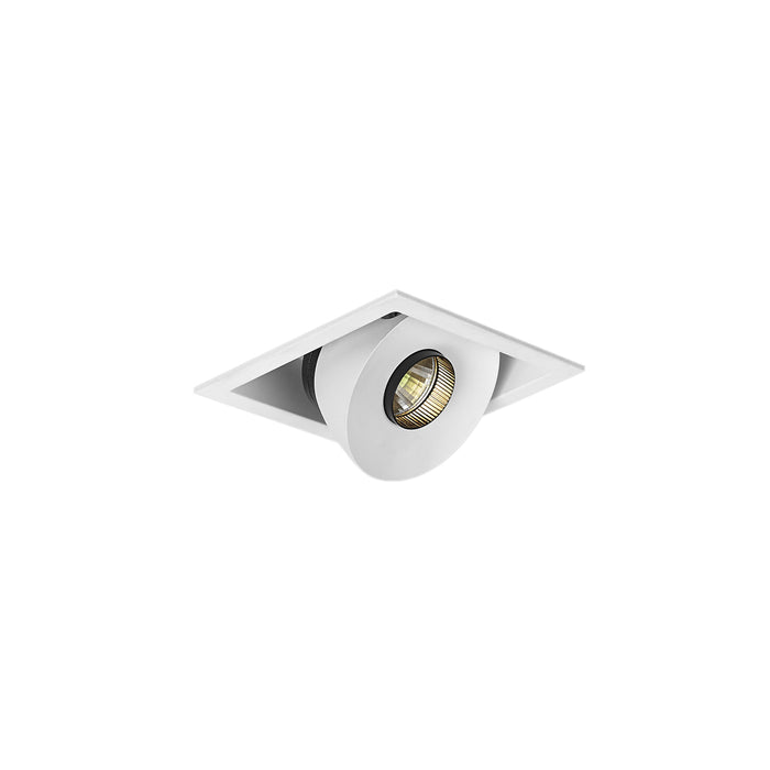 Halcyon LED REC SQ.MINI TILT/ROT C/W DIM.DR 12W 260mA CC WW97-WH