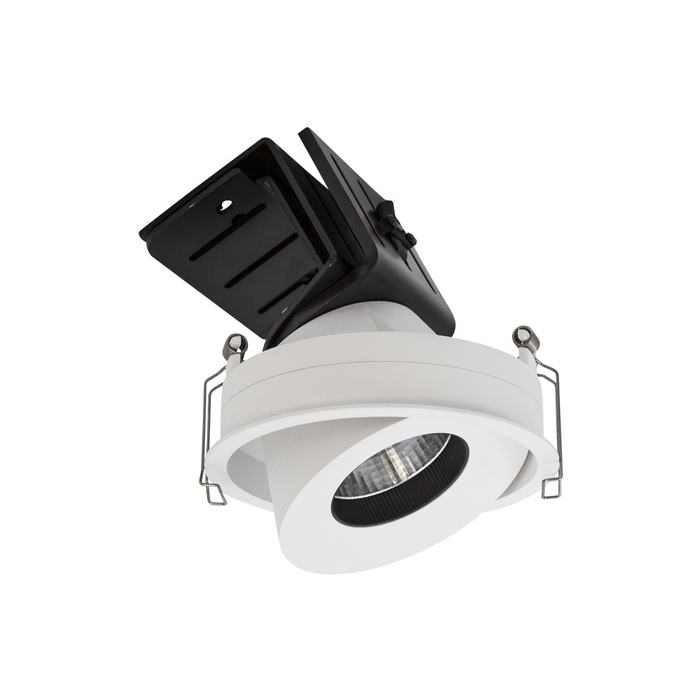 Halcyon LED REC RND TILT/ROT C/W DIM.DR 20W 500mA CC NW97-WH