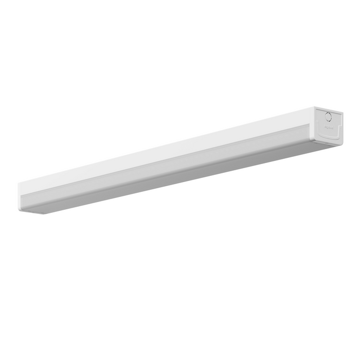 Economy LED Emergency Light Batten Dali Mains L12