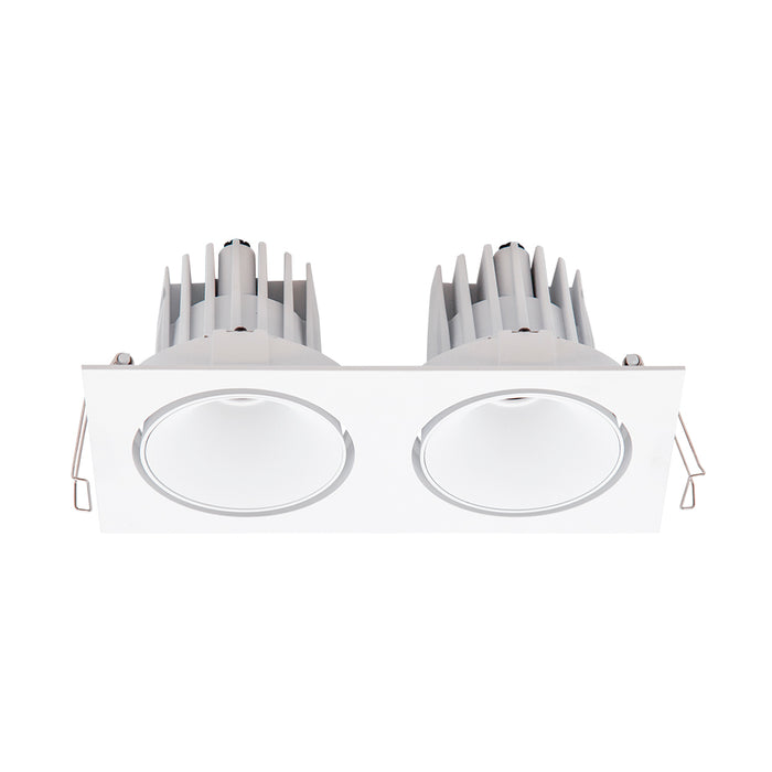 Halcyon LED REC TWIN TILT/ROT MED C/W DIM DRI 2X14W 350mA CC WW97-WB