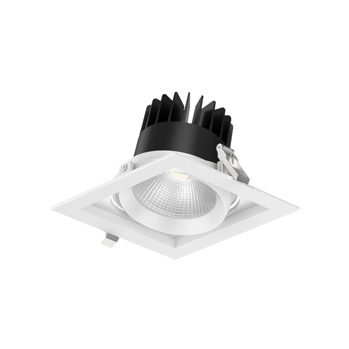 Glight MULTIPLE LED DOWNLIGHT 2x30W IP20 SQ NON DIM WHITE