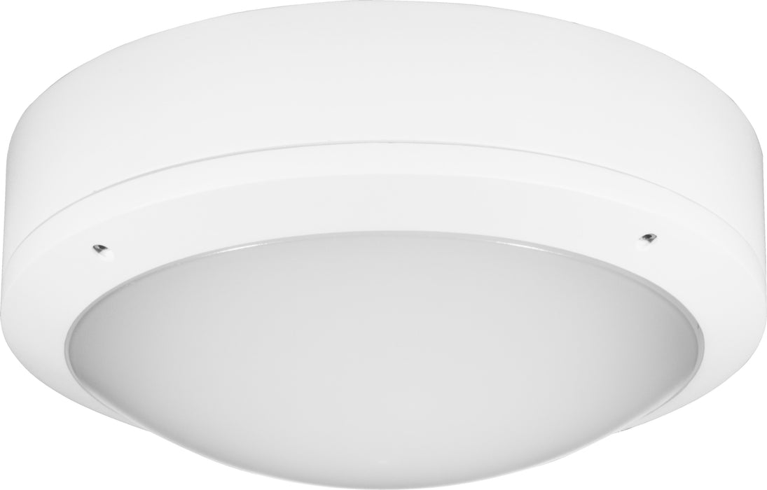 Clevertronics Bunkalite LED, sustained, IP65 circular, white