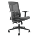 CDL Brateck Office Chair with Ergonomic & Breathable Mesh Back