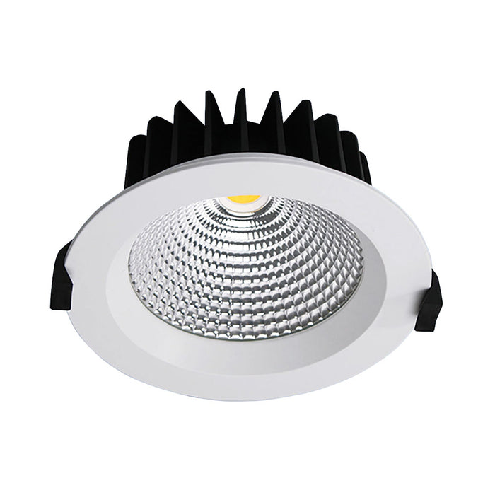 PROLUX LIGHT RECESS 25W CUT OUT 120MM WHITE 4K 145DIAX65 DOWNLIGHT