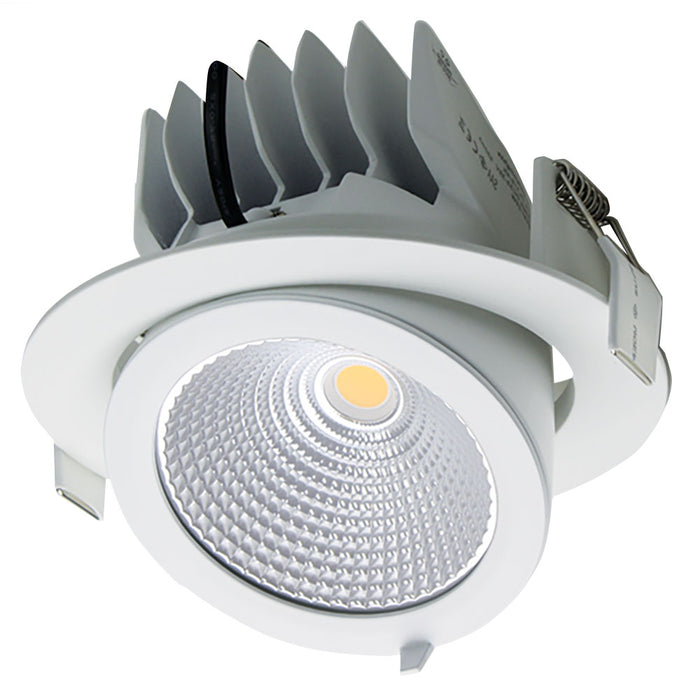 PROLUX LIGHT RECESS 25W TILT CUT OUT 160 DIM WHITE 4K 175X120 DOWNLIGHT