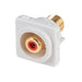 CDL Amdex Connector Red RCA To F Gold Plated