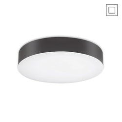 EUROTECH BUXON - NON SENSOR CEILING BUTTON CHARCOAL 3000K 230V LED 21W IP65