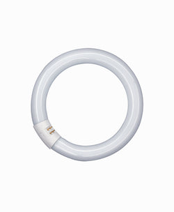 Osram CIRCULAR T9 L 22W/865 C G10Q 12X1 OSRAM TUBE LEDVANCE