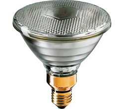 Philips 923815645594 PAR38 Lamp 120W E27 230VAC 30deg Flood