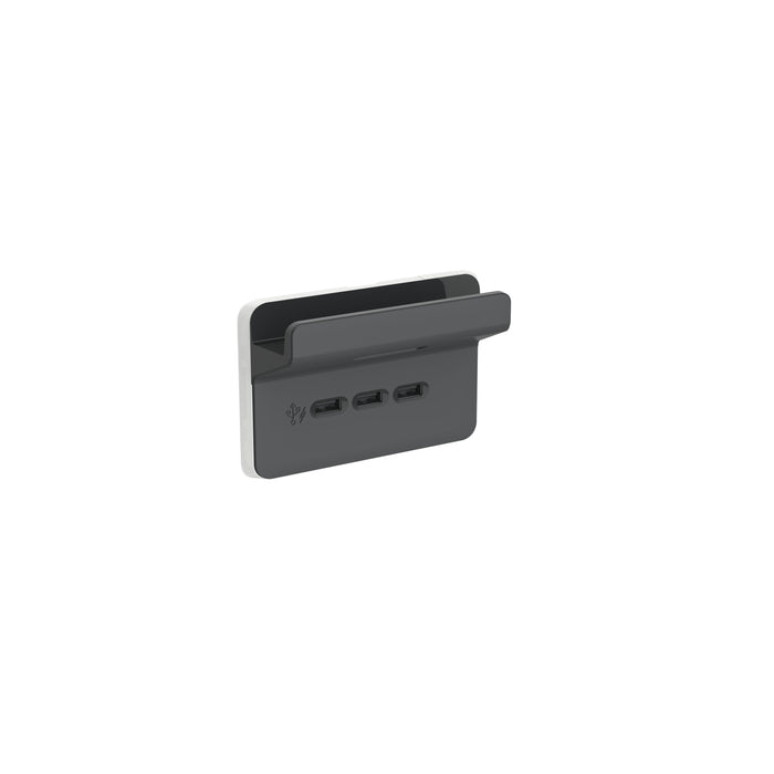 Iconic USB Charger Iconic 3 Gang Skin Anthracite