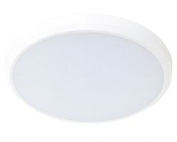 Hugo 25W 3CCT Surface Light